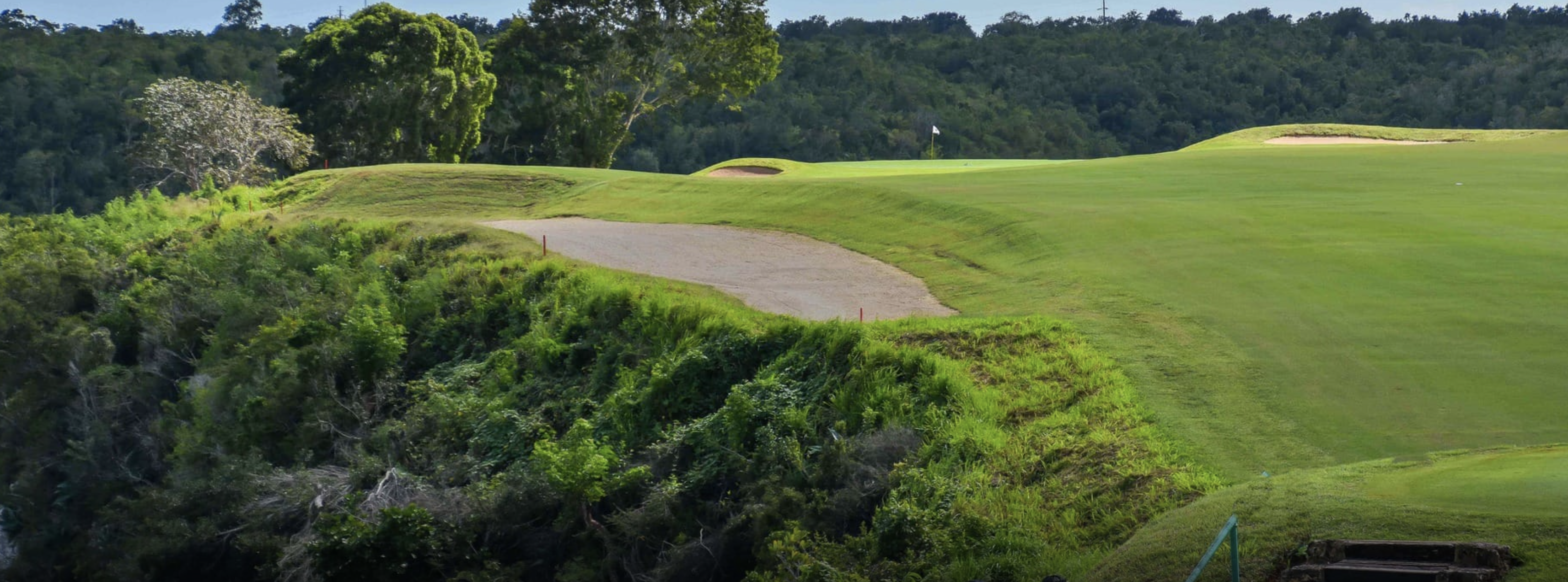 Dye Fore fairway